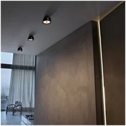 Wan Plafondlamp/Wandlamp Zwart - Flos - Koop Online -Flos-NL 800 5 1