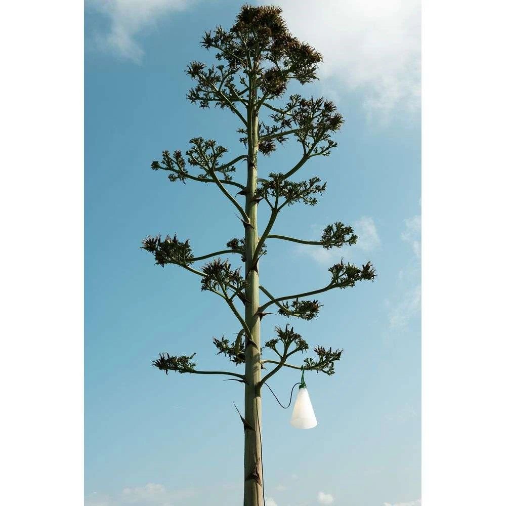 Mayday Outdoor Leaf Green - Flos - Koop Online 7 Mayday Outdoor Leaf Green - Flos - Koop Online - Afbeelding 5